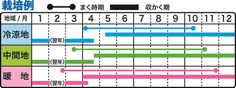 時種|野菜のタネまき時期早見表 